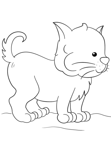 Lovely Kitten Coloring Page